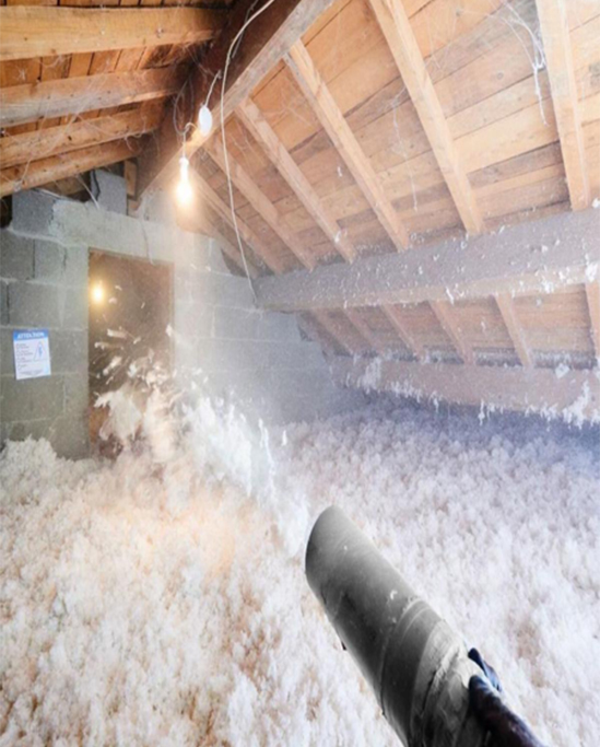 Démoussage de Toiture à Chambéry et en Savoie Pro Toiture - Mise hors d'eau de toiture